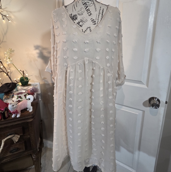 Zenana Swiss Dot Babydoll V-Neck Dress - Picture 2 of 8